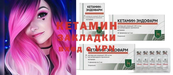 индика Кулебаки