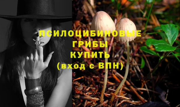 мескалин Кинешма