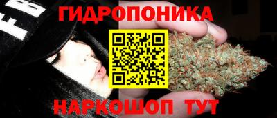 метадон Кимры