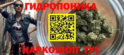 прущие крисы Канаш