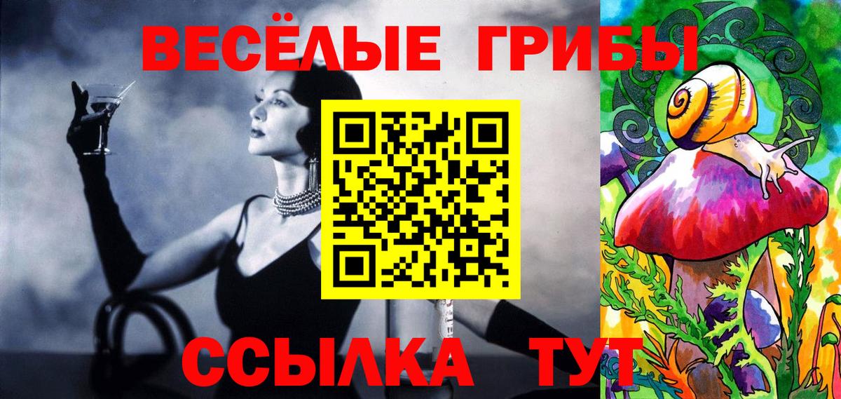 Котовск  Псилоцибиновые грибы ЛСД  Вход с VPN  Псилоцибиновые грибы MAGIC MUSHROOMS 