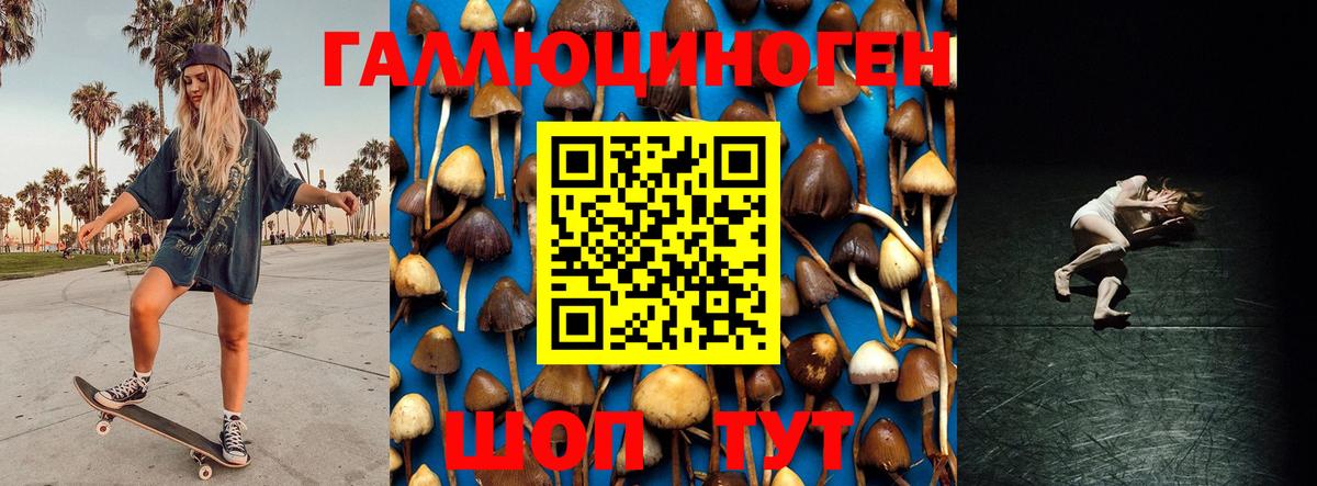 Галлюциногенные грибы Magic Shrooms Котовск